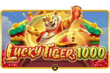 bobato slot tournament interface